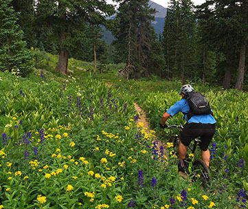 Colorado Trail Mountain Bike Tour