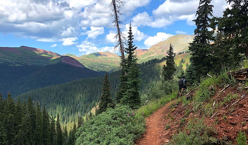 Colorado Trail Mountain Biking