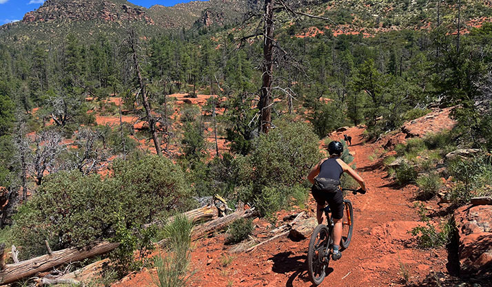 Arizona Mountain Bike Tour