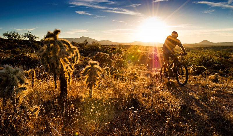 Arizona Trail Mountain Bike Tour