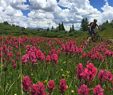 Colorado Trail Mountain Bike Tour